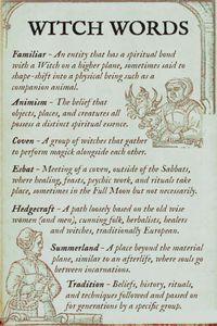 To be a Witch is to be an eternal seeker, a student of nature and of the spirit world. Witches are constantly expanding their knowledge and their vocabulary, and new words associated with witches appear all the time. Do you know what all these witchy terms mean? Here’s a list of witch-related words for you... #wiccan #witchcraft #astrology #zodiac