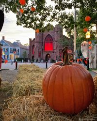 PurelySalem on Instagram: “Don’t forget....tomorrow is the big day! Netflix releases Adam Sandler’s ‘Hubie Halloween’ set in Salem, and filmed in a few cities in the…”