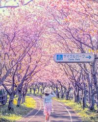 In spring, Jofuku Cycle Road in Saga Prefecture becomes an enchanting flower tunnel. Imagine cycling down this road surrounded by walls of blossoming cherry trees! 🌸🚴 📸CREDIT: @rphotolife ~ ~ #VisitJapan #Outdoor #Cycling #CherryBlossoms #WhenWeTravelAgain 📌 Saga Prefecture Tag 📸 photos #VisitJapanUS to give us permission to repost to our channels. Follow @VisitJapan.US for your [...] The post Visit Japan: In spring, Jofuku Cycle Road in Saga Prefecture becomes an enchanting flower tun&#823