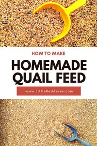 what if we told you that you could make your own homemade quail feed right at home?