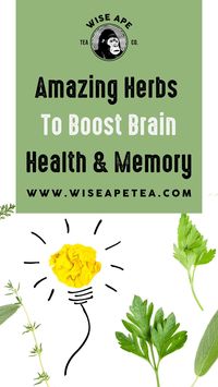 Today, we’re going to be shining a light on 4 great herbal superstars that support cognition and overall brain health. These natural herbs for brain health are incredible nootropics that have actually been used throughout the ages for healing and are scientifically proven to help increase mental clarity, focus, and sharpen your mind.