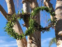 Infinity Garland, Garland shapes, Greenery backdrop