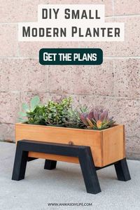 Learn how to make this modern DIY small wood planter box with angled legs. It is perfect for succulents or herbs, or as a centerpiece.