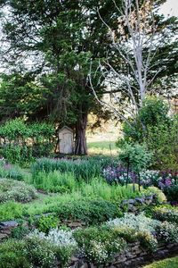 A move to the country has brought three generations together around a lovely garden in Nundle, NSW. When the previous owners bought the property in 1987, the garden was overgrown and they worked to restore it, uncovering rows of stone-edged garden beds, exquisite stone walls and many trellises.