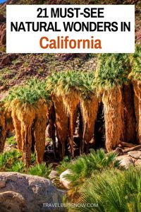 Planning a California road trip? Get this expert guide, with top tips and a map to the 21 must-see natural wonders in California. | California nature | California travel | things to do in California | nature in California | California parks #California #travelblissnow