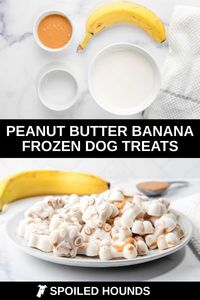 Homemade peanut butter frozen dog treats are a cold snack for your furry friend! Get the easy recipe and learn how to make the best frozen treats for dogs with 4 simple ingredients; peanut butter, banana, coconut milk, and coconut oil. These DIY peanut butter banana frozen dog treats are dairy free. Your dog will love peanut butter ice cubes for summer or throughout the year.