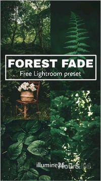 📣To download this preset for FREE navigate to my 'free Lightroom preset' board in my profile. #Lightroom #preset #free preset #Lightroom CC #Moodygreen #forest #Adobe #presets #greens