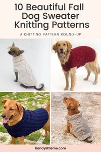 10 Beautiful Fall Dog Sweater Knitting Patterns. Dog sweater knitting patterns for small, medium and large breeds. Spend some time this fall making your dog a cosy sweater to wear during those crisp autumn walks. Free knitting patterns for all skill levels are included. #knitting #knittingpatterns #dogsweaters #knittingpatternsfree #doglovers