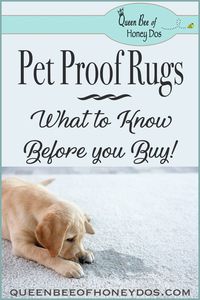 This is everything that you need to know, and then some, about buying the most suitable rug for your fur baby. Plus, some wonderful recommendations from a selection of rugs that work. All rugs are not equal when it comes to piddle spots and other mishaps. 😀 #pets #rugs #queenbeeofhoneydos