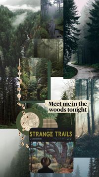 #traveling #woods #outdoorsy #earth #collage #lordhuron #meetmeinthewoods