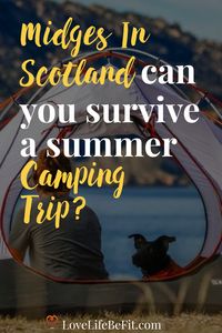 Is it possible to camp in Scotland in midge season? When's the best time to visit Scotland? How do you survive the midges? #visitscotland #scottishmidge #midges