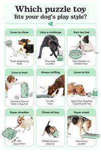 which puzzle toy fits your dog's play style?...