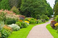 Clay soils in full sun can make it a challenge to find groundcover, but some of the options include native grasses, yarrows, vincas, and low-growing shrubs.