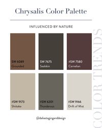 It’s that time of year when the new color palettes roll out! 🎨 Here is @sherwinwilliams take on 2025 color - some of these capsule collections are nature inspired. The Paradox collection is a reflection of the “dopamine decor” trend - colors that make us happy/feel good. What do you think? #homesofinstagram #napavalley #napavalleyhomes #napavalleyrealtors #napavalleyinteriors #napafarmhouse #napacounty #napalife #napacalifornia #californiahomes #californiarealestate #californiahomesfors...