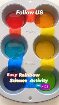  

MATERIALS:

- Muffin tin

- Water

- Food coloring in primary colors

- Paper towel (Cut into six strips)

INSTRUCTIONS:

1️⃣Fill every other space in a muffin tin with water.

2️⃣Add food coloring: red, yellow, blue each to a separate cup.

3️⃣Add a strip of paper towel so one end is in a cup with water and the other end is in an empty cup.

4️⃣The colored water will travel up the paper towel and into the empty space.

5️⃣Once the color has reached the end of the paper towel, add about a tablespoon of water to the empty cup and you can observe the colors mixing!

❤️🧡💛💚💙💜

NOTE: If you use short strips of paper towel, it should take about 10-15 minutes for the colored water to travel to the end of the paper towel. 

🧪THE SCIENCE:

Watch capillary action as the colored water is lif