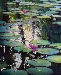 Watercolor by Kuo Hsin-i