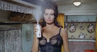 sophia loren boccaccio