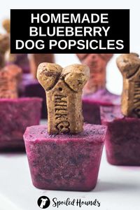 Homemade Blueberry Dog Popsicles with coconut milk. Get the easy recipe and find out how to make the best blueberry popsicles for dogs with simple ingredients. These tasty pupsicles with fresh blueberries are healthy frozen treats for dogs. Dog popsicles are great DIY frozen dog treats with fruit to make for hot summer days. #dogtreats #homemadedogtreats #diydogtreats #dogpopsicles #pupsicles