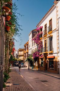 Dive into the Marbella aesthetic on a magical night in Marbella Old Town. Experience its beautiful ambiance, with tips on the best restaurants and spots to visit. Ideal for your Southern Spain itinerary.