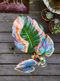 Unique, colorful, hand painted tropical jungalow style floral decor to brighten your home!