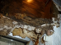 Termite Damage - Structural Wall Eaten Up http://www.skylinepest.com/