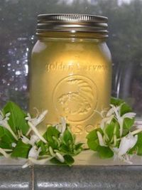 Honeysuckle Jelly - The honeysuckle is blooming like crazy right now.  Good time to try this!