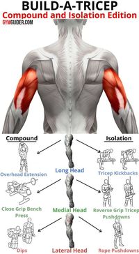 Curl after curl won’t build sleeve-busting arms. Sorry to be the bearer of bad news, but it’s true. If you truly want super-sized arms, you need to spend less time on your biceps, and dedicate a bit more time on your triceps.And here’s why…Your triceps comprise of more than two-thirds of your upper-arm mass. Building thicker, more developed tricep muscles makes your entire arm look gun-worthy rather than pistol-friendly.