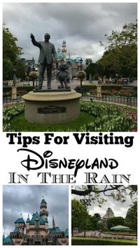 Tips For Visiting Disneyland In The Rain