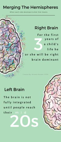 The brain develops throughout life, constantly forming synaptic connections. These connections give the brain the description of “neuroplasticity” which allows the brain to form and mold throughout life. Our brains work as a whole system, however, it starts as two halves: the right and the left. It is the lack of communication between each side that can cause dysfunction for anyone from a toddler to a grown adult. #brain #hemisphere #rightbrain #leftbrain #coping #tantrum #integration #OT