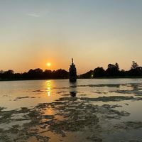 Bushy Park tonight #bushypark #teddington #hamptonwick #royalparks #sunset #sunsetphotography #london #londonist #londoner