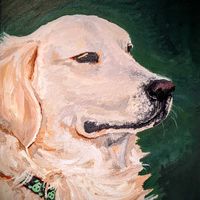 I painted this picture of my dog Mr. chip ages ago.  he was my first ever pet dog and I loved him very much.  he was a white/blonde golden retriever dog.  super cute right? do you like golden retrievers?
#petportait #dogportrait #acrylicpaintings #doglovers #artist