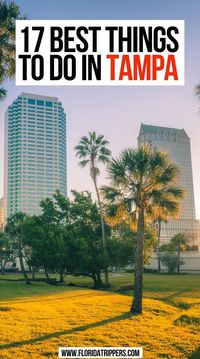 17 Best Things to do in Tampa | things to do in tampa florida | fun things to do in tampa florida | best things to do in tampa florida | things to do in tampa florida top 10 | things to do in tampa florida bucket lists | things to do in tampa bay | things to do in tampa bay florida | tampa bay florida things to do | what to do tampa | what to do in tampa florida | what to do in tampa | what to do in tampa bay | #tampaflorida #tampatravel