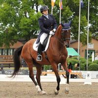 A Simple Trick to Deepen Your Seat – Dressage Fundamentals