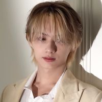 seventeen jun wen junhui lq icon