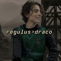 #harrypotter#regulusblack #whispers#timotheechalamet #fancast#Dracomalfoy #siriusblack