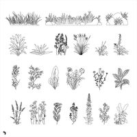 Cad wild plant themed vegetation cad blocks for your architecture & design projectsFile Type: CadFile Size: 6 MBFormat: AI, DWG, PDF Technical details: All vector drawings are resizable. You can easily change the colors and backgrounds of AI files in Adobe Illustrator or DWG files in Autodesk Autocad.Software compatibility: Autodesk Autocad 2013 or newer.Content: This pack includes common style recolorable and resizable cad blocks. Suitable for any project.About Cads: People, furniture, plants,