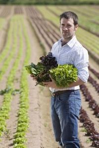 How to Cut Lettuce So It Keeps Growing.  I vary which way I cut mine. I do some of all of the ways mentioned.