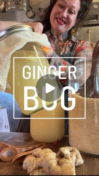 Tonya Snyder on Instagram: "A ginger bug is a really cool ferment with a fun name.
•
It is essentially a starter culture, much like a sourdough starter is to bread, or a SCOBY is to kombucha. 
•
With a ginger bug, you can naturally ferment homemade soda, healthy ginger ale, root beer, and other healthy soda alternatives.
•
Using three simple ingredients—organic ginger root, unrefined sugar, and water—a ginger bug will “capture” wild yeasts and bacteria that will eat the sugar and emit carbon dioxide as a “waste” product. 
•
Hence the ability to give sodas a natural fizz of bubbles. 
•
The coolest thing to me about fermenting is that it is one of the oldest methods of food preservation, along with salting and drying.
•
I’m going to show you how to make a ginger bug, which is started by a wi