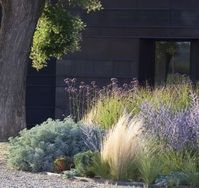 Hotel in the environs of Asti-ornamental grasses and sage