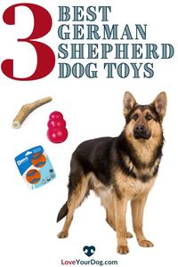 Looking for the perfect dog toy for your German Shepherd puppy or adult aged dog? German Shepherds are very popular breeds to own. They’re spunky, fun-loving, and not to mention, adorable. These great dogs are happiest when they’re in great environments, and the right environments require the right dog toys.