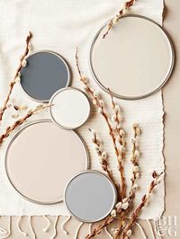 With tones as varied as driftwood gray and creamy latte, neutrals are anything but boring. Browse our top neutral paint color picks to find the right hue for your rooms. Plus, learn the best tricks for decorating in neutrals.