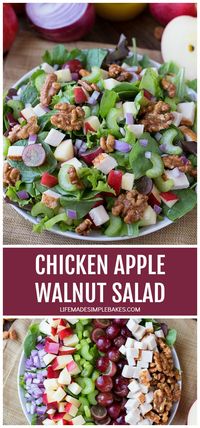 Savor the harvest with our Chicken Apple Walnut Salad—deliciously hearty, packed with flavor, and ideal for autumn’s apple season.