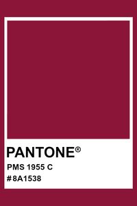 PANTONE 1955 C #pantone #color #PMS #hex