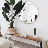 Modern Scandinavian hallway with great details such as mirrow and plants.