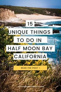 Are you planning your trip to the San Francisco Bay Area? Are you wondering about the best things to do in Half Moon Bay? This California travel guide to the best things to do in Half Moon Bay, including where to shop, the best restaurants, and where to stay in Half Moon Bay. Plus, learn about fun day trips from Half Moon Bay and the best beaches to add to your Half Moon Bay itinerary.