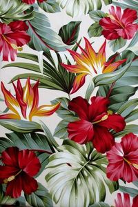 Fabric Red Hibiscus Floral on Cream Tropical by BluePacificFabrics