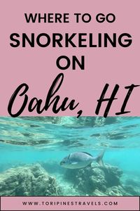 The best places to go snorkeling Oahu, Hawaii | Snorkel Spots on Oahu | Where to snorkel in Hawaii | Things to do on Oahu | Hawaii Vacation | Hawaii Travel Guide | Beach Vacation