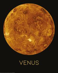 Venus Art Print en nog veel meer bij Posters.nl! Er zijn tienduizenden producten beschikbaar in het online assortiment. Deze zijn niet allemaal uit voorraad leverbaar. De levertijd van je product hangt af van de beschikbaarheid van het product in de voorraad producten. Als je product op voorraad is, wordt je bestelling binnen 1 dag verwerkt en heb je de bestelling snel in huis. Alle soorten en maten Wanddecoraties bij  Posters.nl!