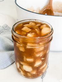 This Zero Point Cinnamon Apple Pie Filling is simple to make and has no added sugar! Keep it in your freezer for when you need it.