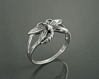 Dragonfly ring.   Yes.